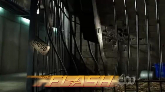 The Flash 5